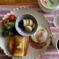 今日の朝ご飯と晩ご飯の一品！　鉢植えのミニバラ！