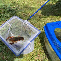 ザリガニ釣りの暑い1日🦞