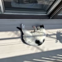 暑くなったり、寒くなったり。