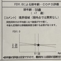 再始動