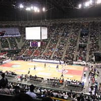バスケットボール全日本選手権大会