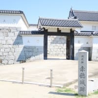 「赤穂城」城撮り戦果