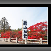 鍬山神社の紅葉