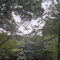 何にもないけど全部ある　〜2025〜