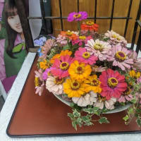 篠窪（しのくぼ）の隣町 花芸安達流　北澤様の生け花「七夕を生ける」(2025/07/01)