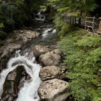 河津七滝～自然の涼しさ味わう