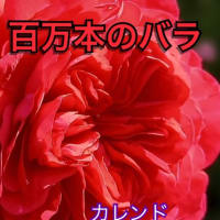 弾き語りDUOのカレンド　