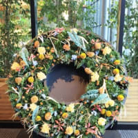 眼鏡屋さんは親切です・・仙台駅東口のお花(^^)