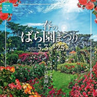敷島バラ園  2025 春薔薇　　R- 7- 5-13