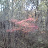宮城県図書館の辺り