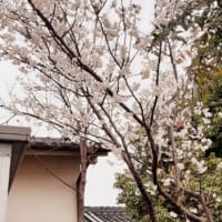 出費がかさむ