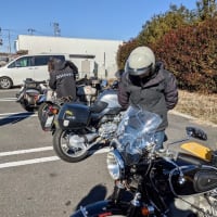 2022年走り始めはR50