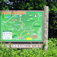 桑谷山