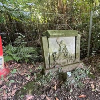 ペニーで遊んで、三舟山へサイクリング