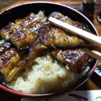 憧れの唐津。