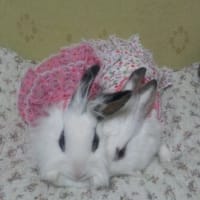 親子でお揃い