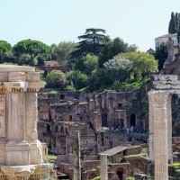 古代ローマ時代の遺跡「Foro Romano（フォロ・ロマーノ）」を歩く