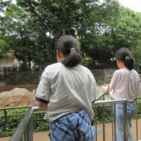 動物園スケッチ ①