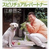 素晴らしい ジプシー・トレーナー / エディ・タウンゼント - ただの映画好き日記 趣味