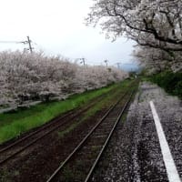 桜トンネル駅を見て来ました。