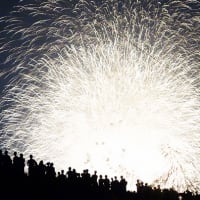 【お気に入り写真】大阪淀川の花火大会