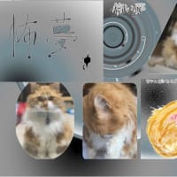 怖い夢見