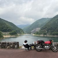 無毛の人。