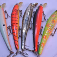 TROUT ZX | PRODUCTS | trout nories