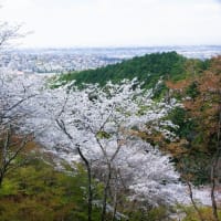 願はくは花の下にて … 陸奥の国・岩手県平泉と盛岡の旅(番外編)