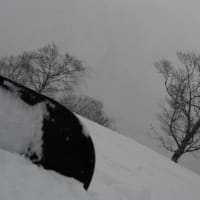 ライ麦カンパーニュと雪景色