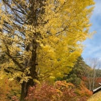 愛知県　秋の香嵐渓／茶臼山高原