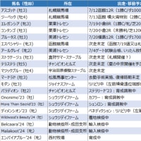 今週はアスゴッドとジーベック、７月攻勢スタートか！？