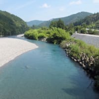 本日の海部川