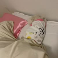 新しい洋服