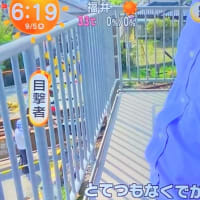 熊本の鹿児島本線でヴォケが貨物列車に小型トラックを打つける