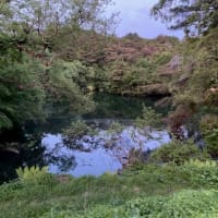 尾瀬・裏磐梯・只見線の旅　-5　・・・　from Oze to Urabandai