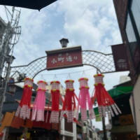いざ鎌倉‼️