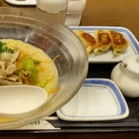 今日のおでかけ