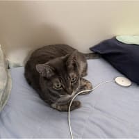 ぼくもアタチもｗ