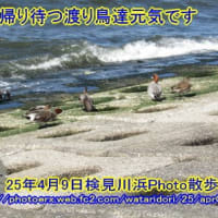 昭和の日Photo散歩は検見が浜