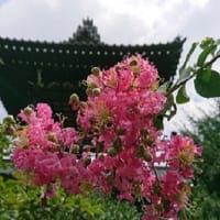 ７月　３日