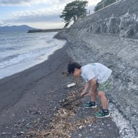 沼津の牛臥公園