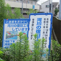 昨日夜、短時間に102㎜の集中豪雨が（埼玉・所沢）