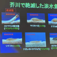 たかつき市民環境大学