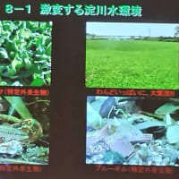たかつき市民環境大学