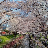 千本桜