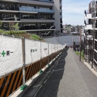 和光市白子の百段階段！ふらりとやって来ました。実際は77階段でした。