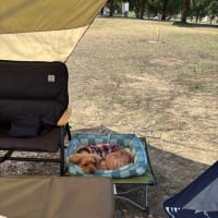 秋ヶ瀬BBQ