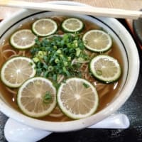 |M3419|宮崎空港ビル３F『萩の茶屋』で早めの夕食。レモンチューハイ＆鶏天おろし＆キムチチャーシューで開始し、冷やし平兵衛酢（へべす）そばが抜群にうまかった！