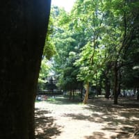 代々木公園